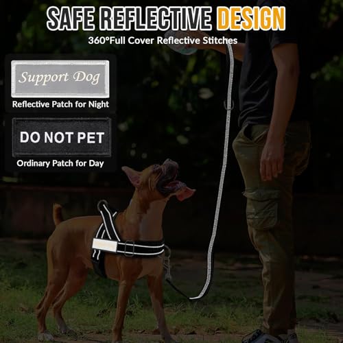 Lukovee No Pull Dog Harness and Leash Set, Soft Padded - Image 7