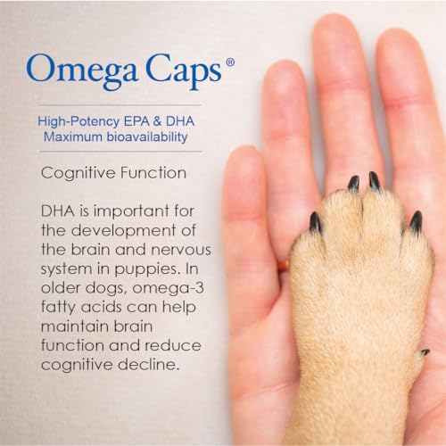 Omega Caps for Cats and Small Dogs Concentrated EPA and DHA Fatty Acid Antioxidant Supplement Vet Formulated Made in USA Skin Coat Joint and Heart Health 60 Softgel Capsules