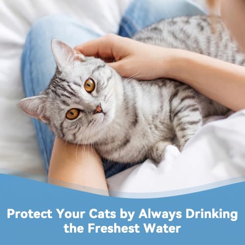 Cat Water Fountain Filter Replacement Kit, 12 Filters - Image 8