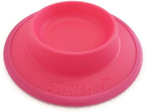 Pet Food and Water Bowl for Cats, Toy Breed Dogs, Bearded Dragons, Turtles, and Small Pets (3/4 Cup in Four Colors (Spring Green)