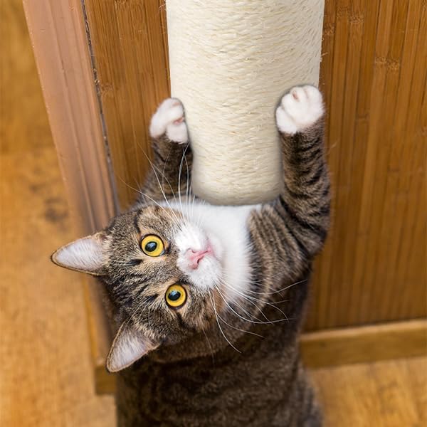 Wall Mounted Cat Scratching Post for Indoor Cats | Kitten Wall Shelves Climbing Furniture| Sisal Rope Cat Claw Scratcher Tree | Solid Wooden Walkway for Cage Mounted Climbing Relaxing