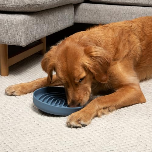 Should We Go? Slow Feeder for Dogs & Puppies, The Slowdown Bowl Silicone Slow Eating, Modern Lick Mat Design, Reduces Gulping, Fits 2.5 Cups, 9.5” Across x 1.5” Tall, Mealtime Challenge, Large-Ocean