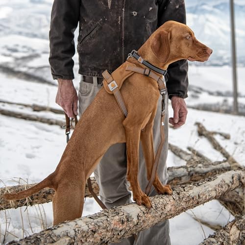 Carhartt Nylon Duck No Pull Dog Harness Carhartt Brown XL - Image 6