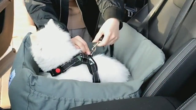 Dog Car Seat for Small Dogs, Pet Booster Seat | Pet Essentials - Image 8