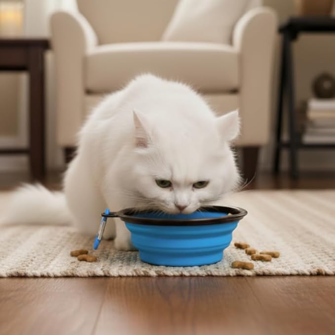 Collapsible Cat Bowl, Maze Design Pet Puzzle Feeder, 650ml Dog Slow Feeding Bowls, Dog Slow Feeding Bowl with Carabiner Portable BPA-Free Silicone Pet Bowls for Hiking,Travel,Camping - Colour Blue