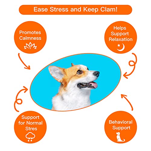 Heartbeat Puppy Toys Dog Heartbeat Toy for Dog Anxie | Pet Essentials - Image 3