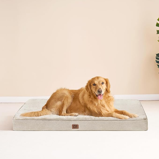 EHEYCIGA Memory Foam Dog Bed Orthopedic 47"x29",Waterproof Pet Bed for XXLarge Dog Bed ,Washable Pet Mat with Removable Cover, Beige