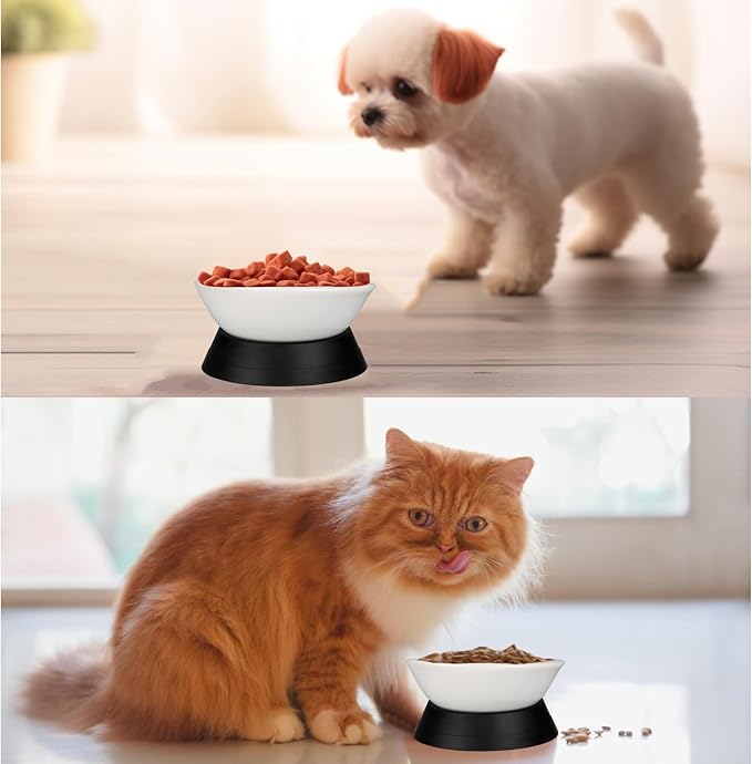 French Bulldog Food Bowl- Slanted Tilted Pug Food Water Bowl,Cat Bowl- Feeder for Frenchie/Shih Tzu/Flat Faced Small Dogs/Puppies/Cats (White(Ceramic), 2 Cup)