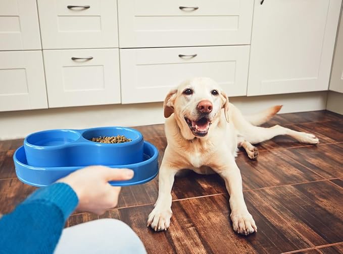 PetLike Ants Away Double Pet Feeding Bowls Dog Water and Food Bowls,6 cups/48oz Pet Feeder Bowls for Medium Large Dogs Cats (Blue, 15.5X9.5X2.75 INCH)