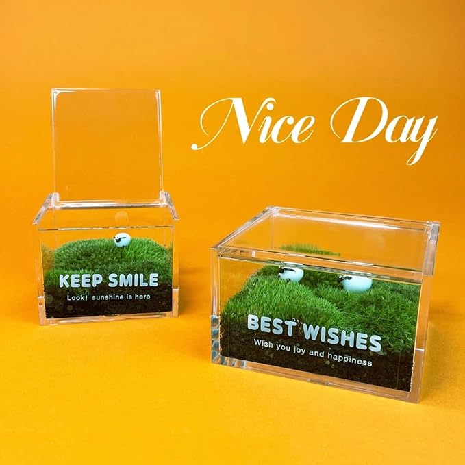 KissYou Acrylic Box with Lid 2 Packs Clear Storage Contanier Coffee Pod Holder Organizers Accessories Clear Hinged Lid Box