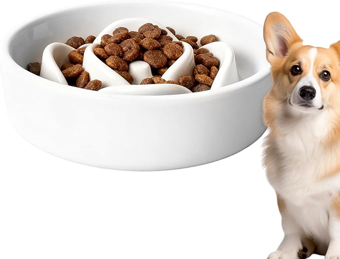 Dog Feeder - Slow Eating Bowl for Dogs | Interactive Food Toy, Tableware for Puppies, Kittens, and Dogs, Reduces Gulping, Supports Healthy Eating, Home, Living Room, Outdoor, and Travel Use