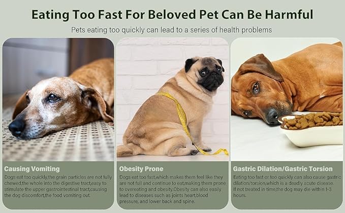 Small Dog/Puppy Slow Feeder, Stainless Steel Feeding Bowl with Unique Bone Design for Slower Eating Non-Slip Base