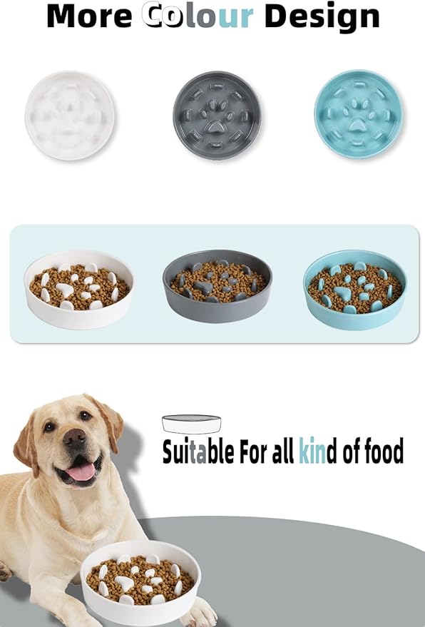 HAOTOP Ceramic Fun Slow Feeder Bowl, Porcelain Slow Eater Bowl for Medium Sized Dogs (White)