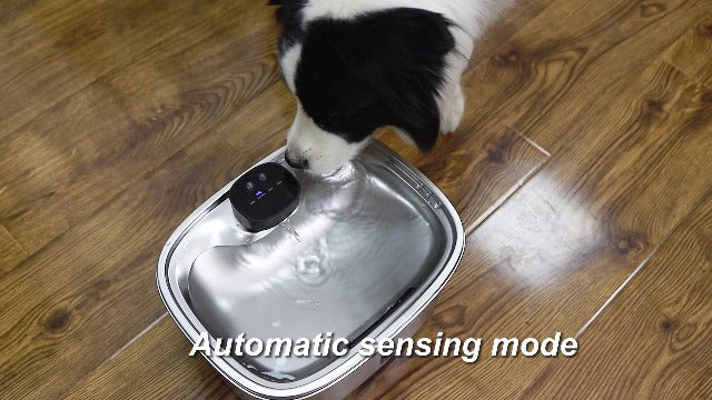 Cat Dog Water Fountain, Stainless Wireless Pet Water Bowl - Image 8
