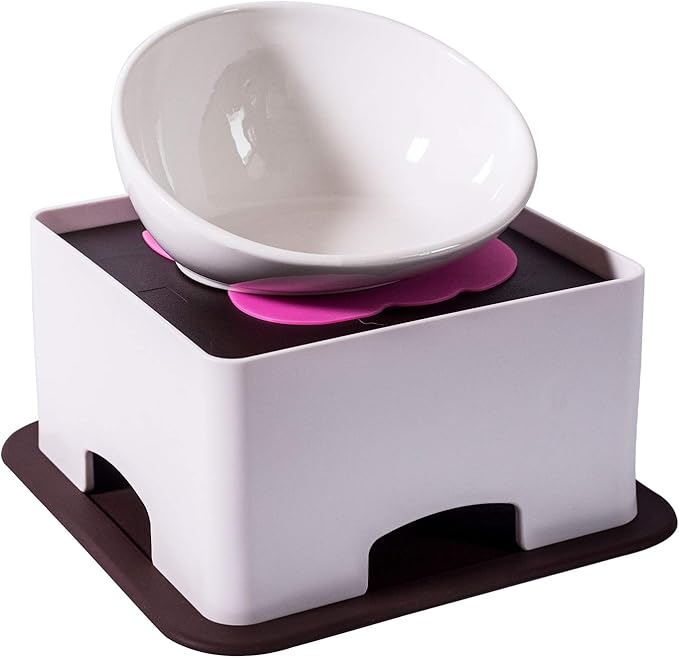 Raised Ceramic Dog Feeding Bowl,Adjustable Elevated Dog Bowls Set Anti-Slip,Standing Pet Feeding Dish for Small Medium Dogs and Cats,White