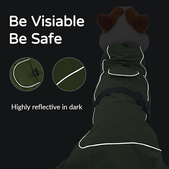 Dog Winter Raincoat, Waterproof Warm Jacket with Velvet Lining for Cold Weather, Windproof Insulated Rain Coat with Reflective Strips for Medium Dog (Green, M)