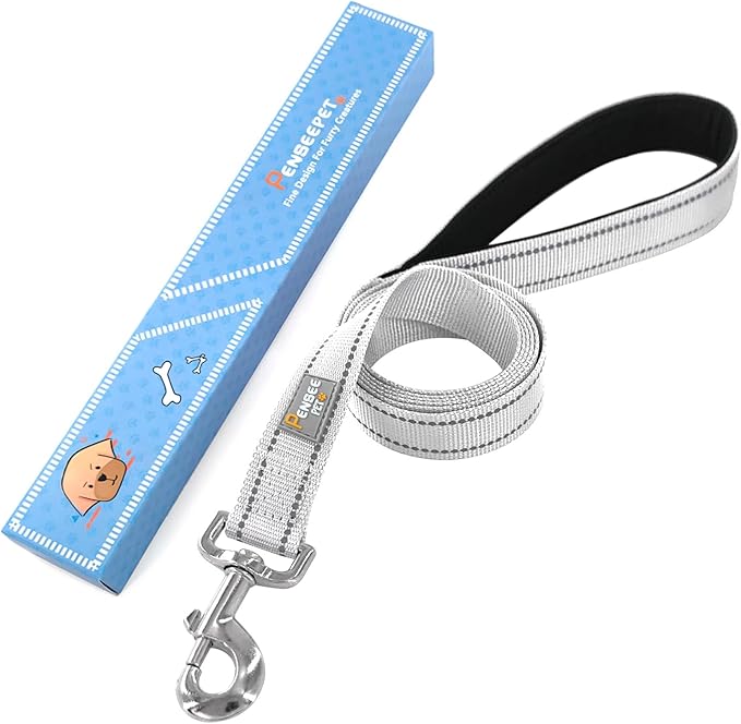 Dog Leash 6 FT Padded Handle Nylon Reflective Dogs Leashes for Small Dogs Silver