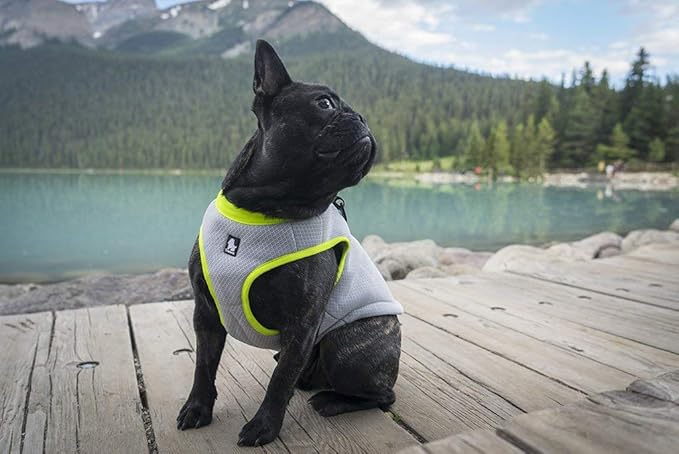 Truelove Dog Cooling Vest Harness Cooler Jacket with Adjustable Zipper for Outdoor Hunting Training and Camping Green
