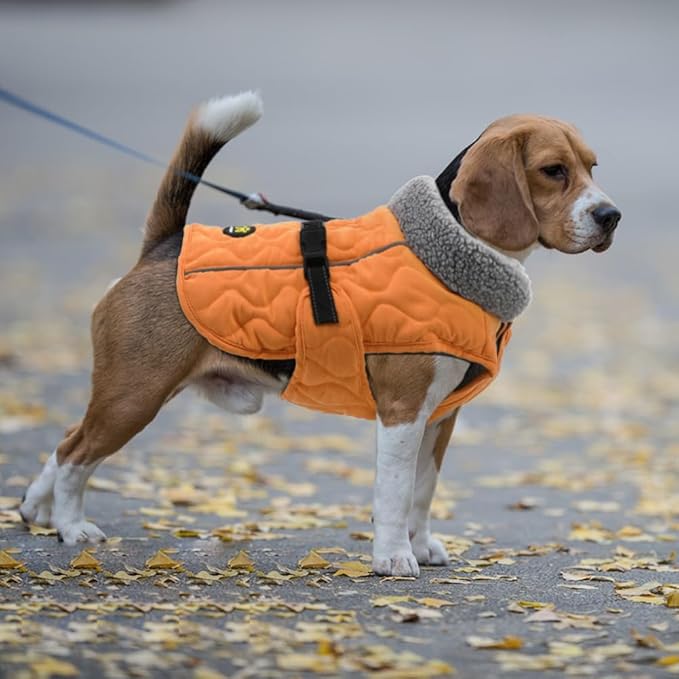 Dog Coat for Winter, Water Resistant Dog Apparel for Cold Weather - Warm Fleece Lining Doggie Coats, Reflective Pet Winter Clothes for Large Dogs, Orange XXL