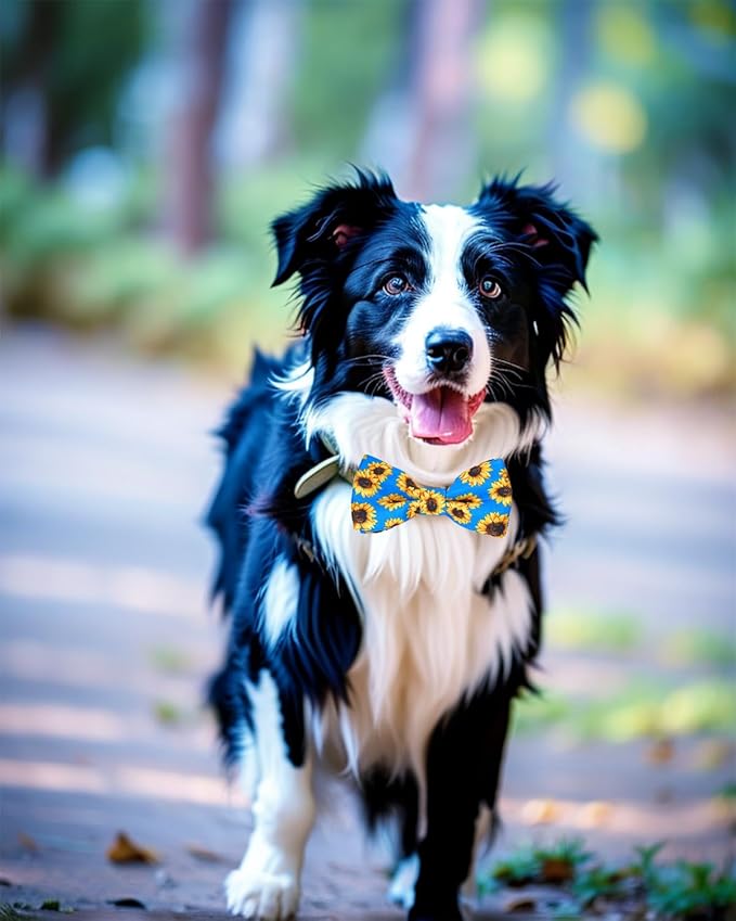 PET SHOW 10 Pack Big Dog Bow Ties for Large Medium Dogs Sliding Collar Attachments Daily Bowties Multiple Styles Cute Summer Bowknots Wedding Party Holiday Pet Grooming Accessories(Large)