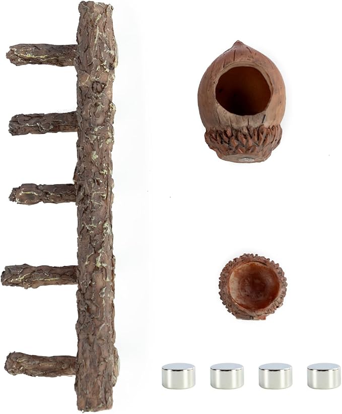 REPTI ZOO Jumping Spider Hideout and Feeding Dish, Nut Shaped Hide and Cave Sets for Spider Playing, Feeding and Climbing, Pet Spider Enclosure Accessories