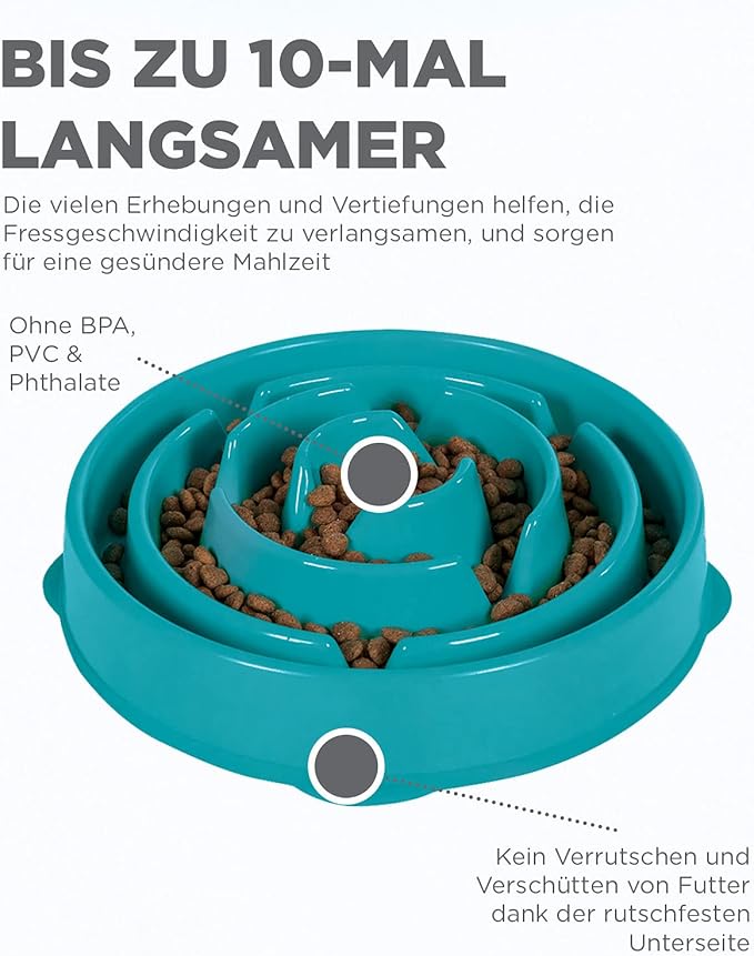 Petmate Aspen Pet 2.5 Gallon Gravity Waterer and Outward Hound Fun Feeder Slo Bowl Slow Feeder Dog Bowl Large/Regular Turquoise