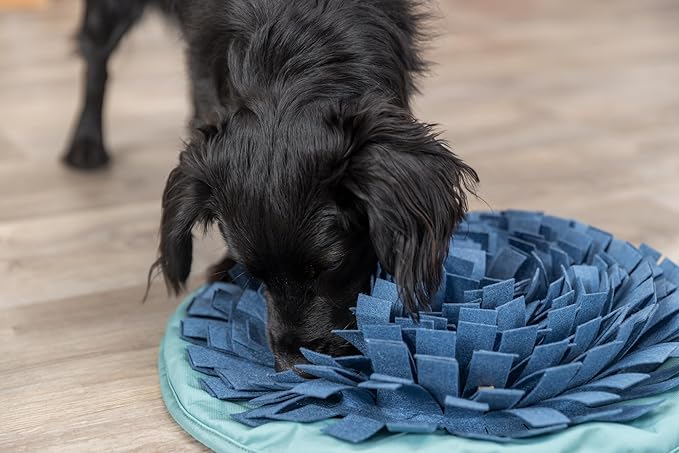 Trixie Snuffle & Seek Bowl, Adjustable Snuffle Mat for Dogs, Interactive Slow Feeder, Level 1 Enrichment Puzzle for Dogs & Cats