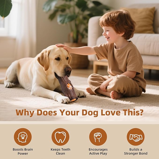 Frozen Dog Treat Toy & Suction Cup Dog Toy for Large & Medium Dogs- Complete Dog Toy Set with Rope Toy and Puzzle Toy for Aggressive Chewers, Interactive Chew Toys for Mental Stimulation