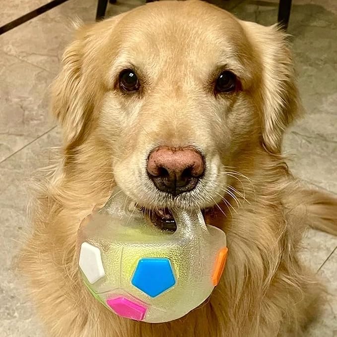 TPR Dog Soccer Ball, Animal Dog Toys Soccer Ball TPR Interactive Cat Balls, Dogs Calming Balls with Handle, Toys Indestructible for Aggressive Chewers, Squeaky Floating for Dogs