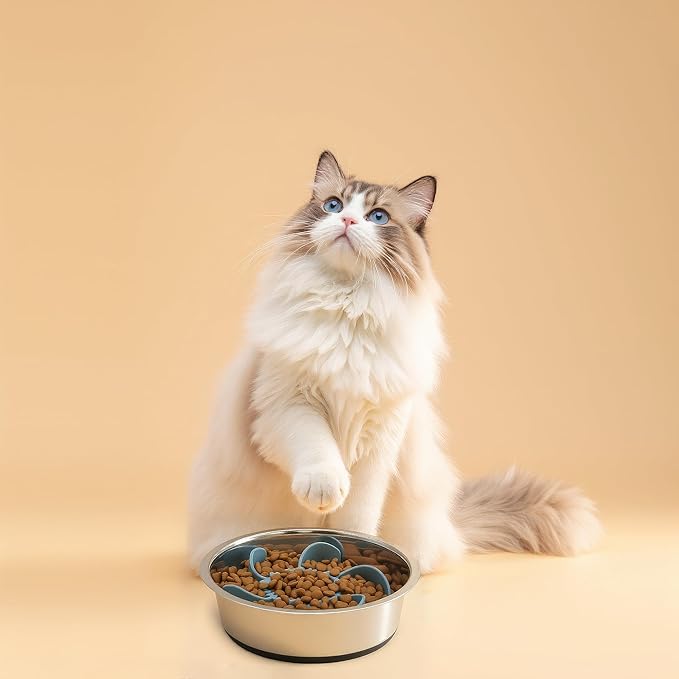 2 in 1 Slow Feeder Dog Bowl with Removeable Silicone Feeder Insert, Stainless Steel Pet Bowl, Non-Slip Rubber Base for Small Medium Dog Cat (3.2 Cups)