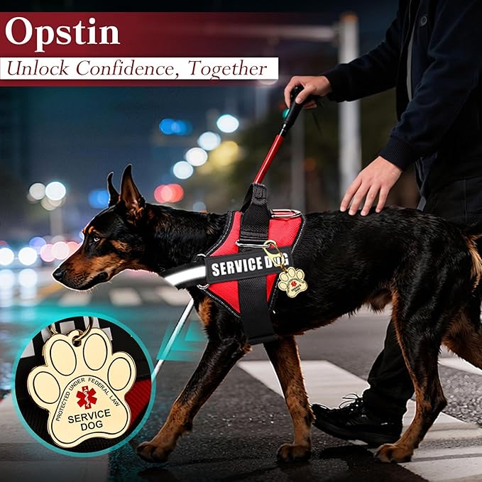 Service Dog Vest, ID Tag 50 ADA Information Cards, Service Dog Harness w Patch in Sizes XX Small to XXX Large, Metal Dog Tag has Ruggedized Clip, Service Animal Cards, ESA Accessory Set XX-Small