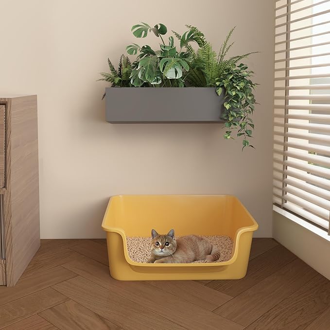 Open-Top Large High Sides Cat Litter Box with Low Entrance, Suitable for Small and Elderly Cats, Anti-Splash, 19.8” x15.6”x7.3” for Indoor Use