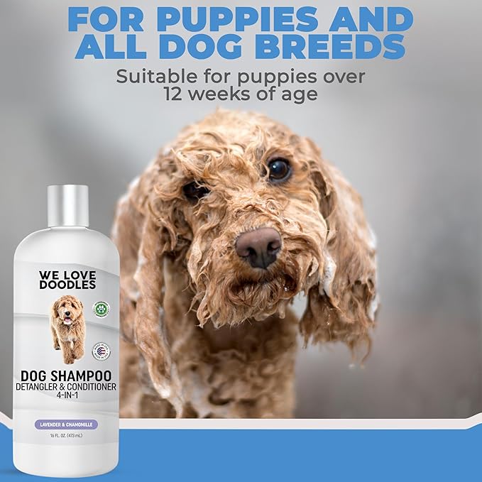 We Love Doodles Dog Shampoo & Dog Detangler Spray Pack - Pet Shampoo & Conditioner for Dogs, Doodle Detangler Spray, Cleans & Moisturizes, Reduces Tangles & Mats, Lavender, Total 32 oz
