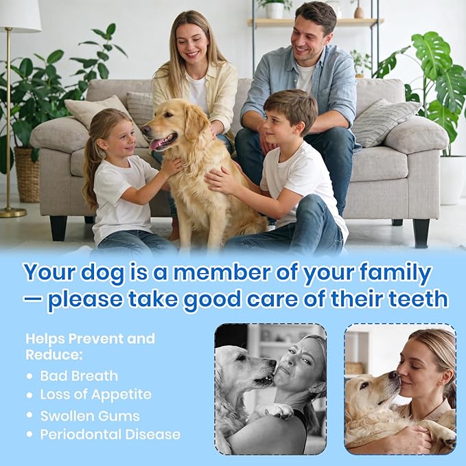Dog Plaque Remover for Teeth,Pet Ultrasonic Tooth Cleaner with LED Light,Cleaning Kit for Tartar and Stains,5 Adjustable Modes,Pet Teeth Cleaning kit,Suitable for Dogs and Cats (Black)