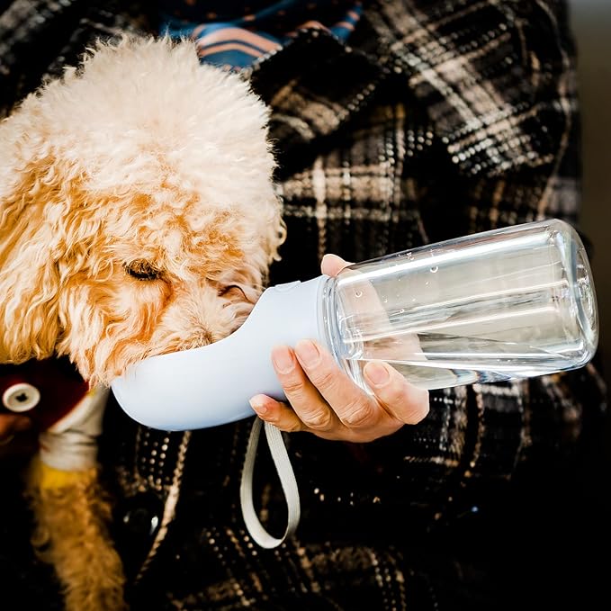 Mr. Pen Portable Dog Water Bottle - 19oz, Blue, Travel & Dispenser for Dogs, Not Dishwasher Safe