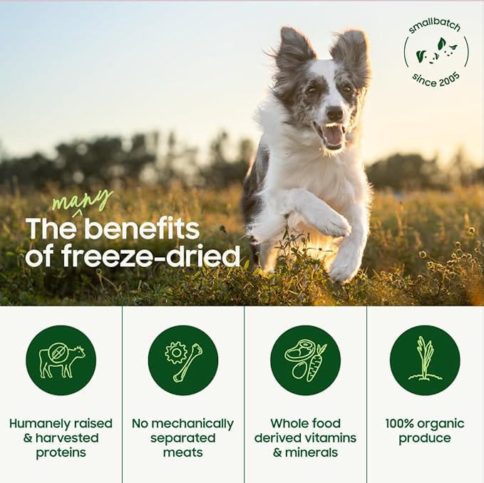 smallbatch Pets Freeze Dried Raw Dog Food, Turkey Recipe, 14 oz, Organic High Protein Dog Food, Grain Free, Made in The USA, Humanely Raised Meat, Single Protein, for Picky Eaters, Hydrate & Serve