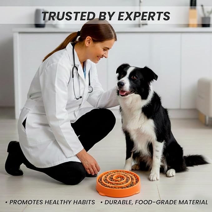 Slow Feeder Dog Bowl for Small, Medium & Large Dogs – Anti-Gulping Puzzle Maze Bowl, Non-Slip Slow Eating Dog Dish, Prevents Bloat & Improves Digestion, Interactive Pet Feeder (Orange, Small)