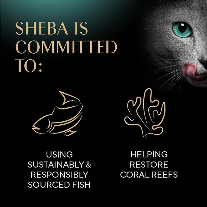 Sheba Perfect Portions Wet Cat Food Cuts in Gravy, with Sustainable Salmon, Tender Trout Entree, and with Sustainable Tuna, 2.6 oz. Twin-Pack Trays (24 Count, 48 Servings)