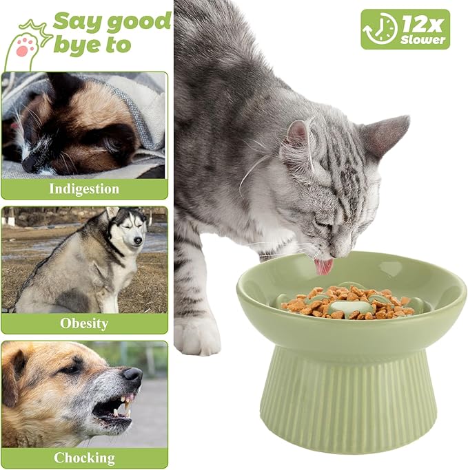 2 Pack Raised Cat Slow Feeder, Elevated Slow Feed Dish for Cats and Small Dogs, Ceramic Slow Feeder Cat Bowl, No Spill High Edge for Dry/Wet Food(Blue, Green)