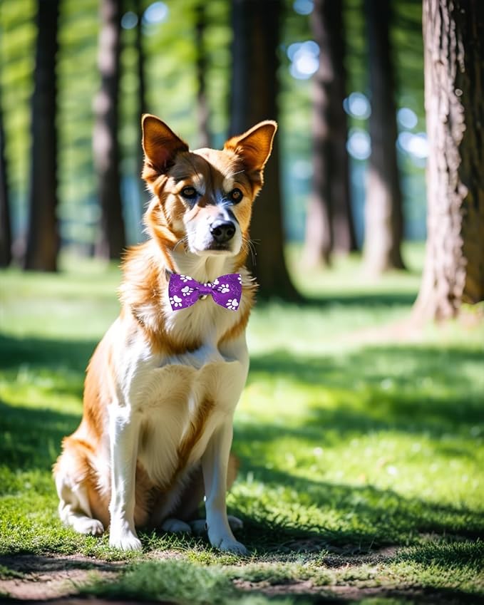 PET SHOW 10 Pack Paw Big Dog Bow Ties for Large Medium Dogs Sliding Collar Attachments Bone Bowties Cute Bowknots Wedding Party Holiday Pet Grooming Accessories(Large)
