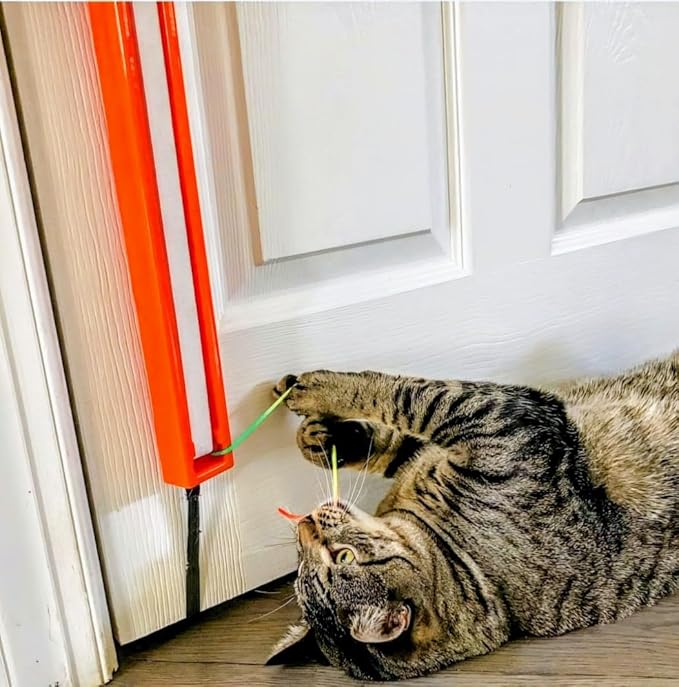 MOODY PET Fling-AMA-String Cat Toy
