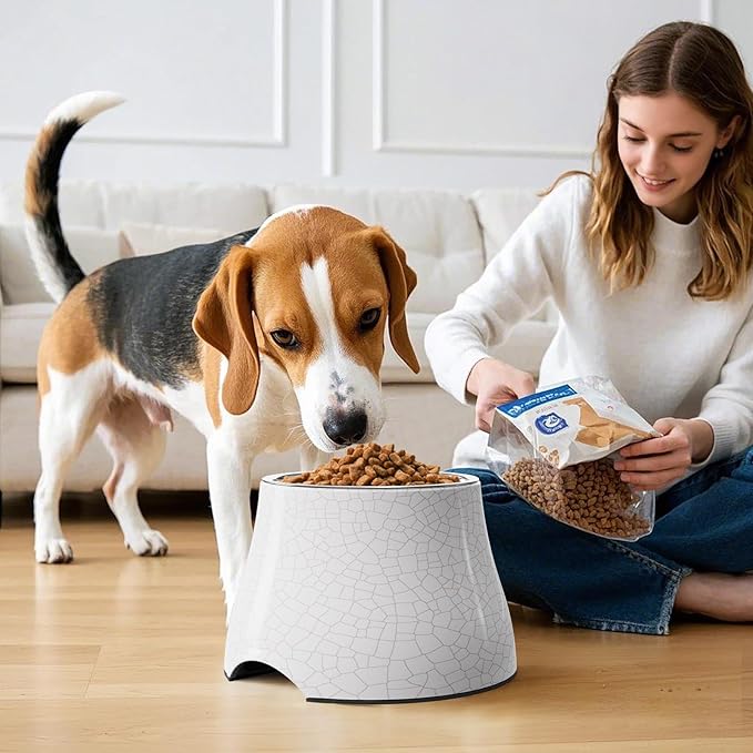 Elevated Dog Bowls with Stainless Steel Bowl, Prevention of Vertebrae Disease Dog Food Bowl, Non-Slip and High Capacity Pet Bowls Crackle Design S/1 Cup
