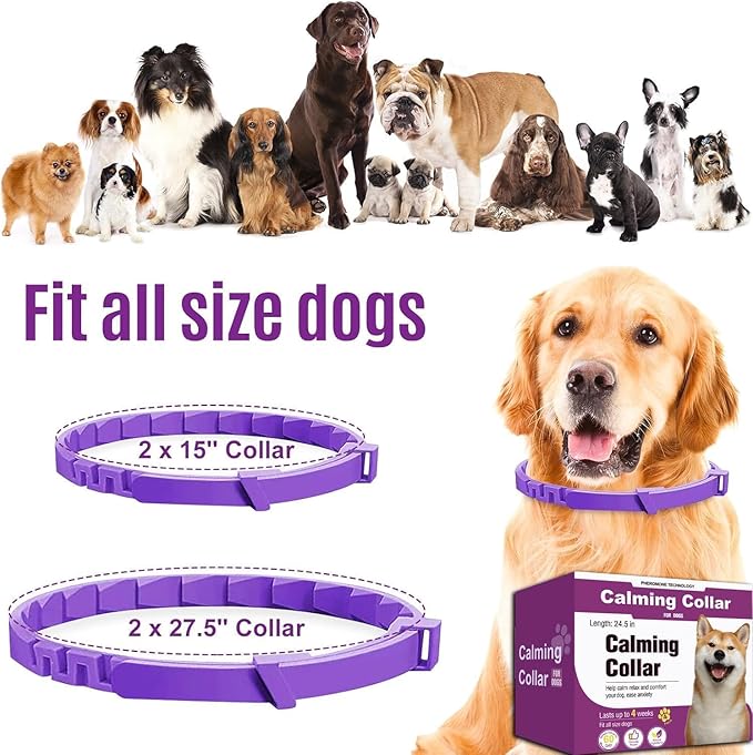 Calm Collar – 60-Day Pheromone Relief + Stress-Free Dog