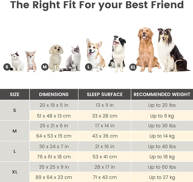 Miguel Faux Linen Dog Bed with Removable Cushion Pillow for Medium Small Dogs, Washable Pet Bed with Side Easy to Wash Puppy Bed, Rectangle Cat Bed for Indoor Cat with Anti-Slip Bottom, Gray 20 Inch