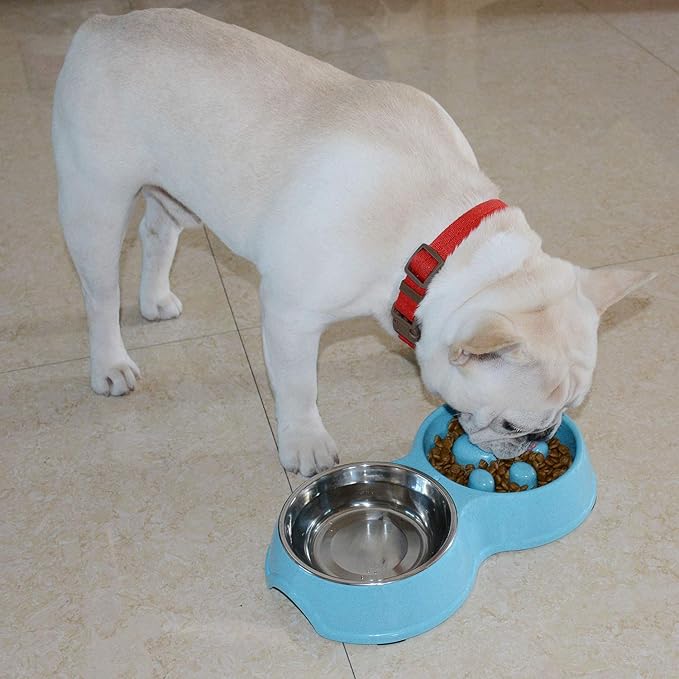 Dog Slow Eating & Drinking Bowl,Stainless Steel Interactive Slow Feed Dog Bowl for French Bulldog,Slow Down Eating Eco-Friendly pet Bowl for Frenchie (Blue)