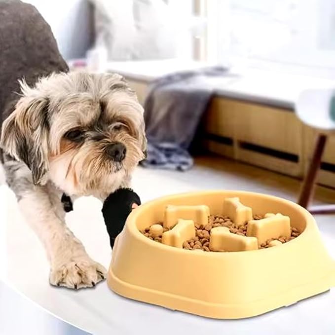 Slow Feeder Dog Food Bowl – Interactive Dog Food Dish for Breeds, Bowl Designed to Slow Eating, Promotes Healthy Digestion and Prevents Bloat, Ideal for Cats and Dogs