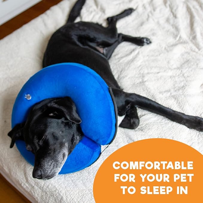 BENCMATE Inflatable Dog Cone Collar Alternative, Soft Dog Cone for Small Medium Large Dogs and Cats, Neck Recovery ECollar Donut Collar After Surgery (Large+, Orca)