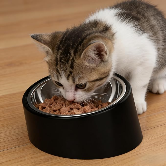 15° Tilted Slow Feeder- Non-Spill & Non-Slip Stainless Steel Dish for Small & Cats - Detachable 160ml Elevated Black (Size S)