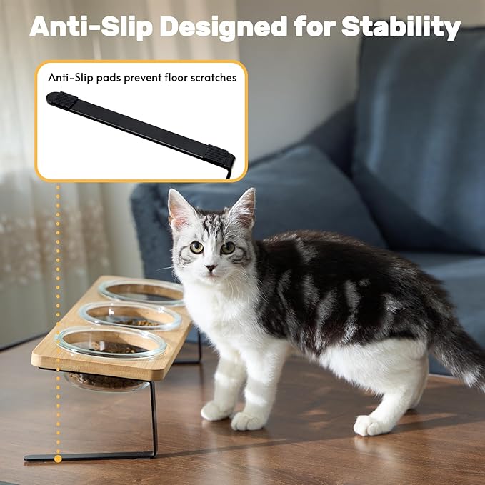 Elevated Cat Bowls, 15° Tilted Cat Food Bowl, Includes 3 Glass Bowls, Bamboo Board, and Metal Stand for Cats and Puppies