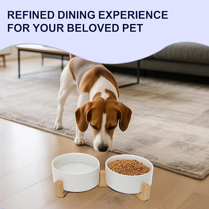 Dog Food Bowl, 13.5 oz Ceramic Modern Design, Dog Water and Food Bowl with Wood Stand, for Puppy & Cat, Non-Slip Feeding Station with Weighted Base, White